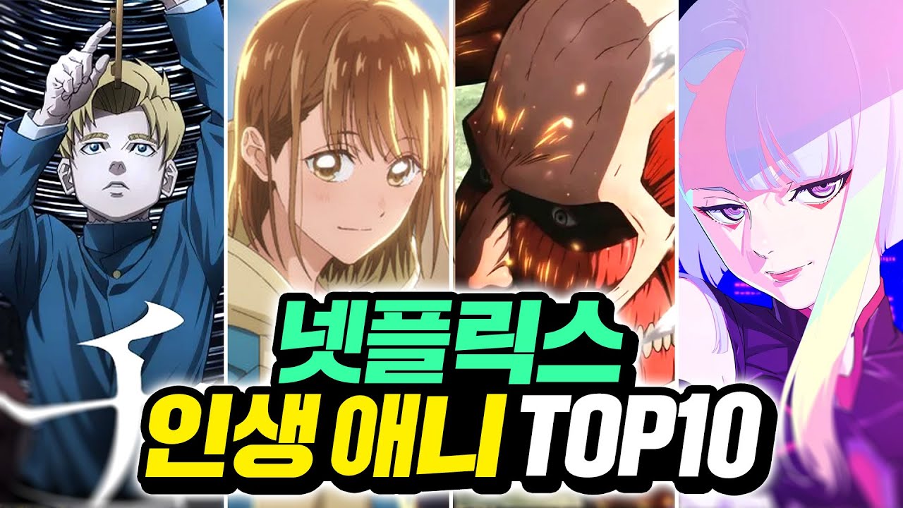 나무늘보 공식 방송/현장 실물 캡처